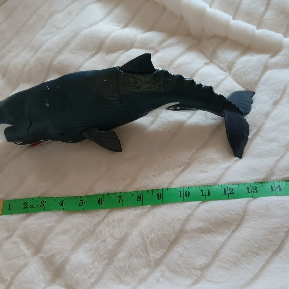 Whale big whale 14